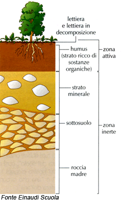 Strati del suolo