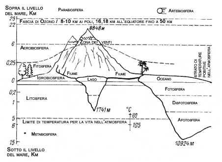 Biosfera