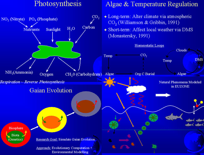 schema delle attivit della biosfera