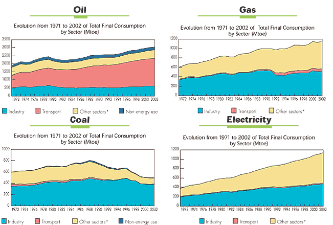 Grafici evoluzione consumi energetici per combustibile