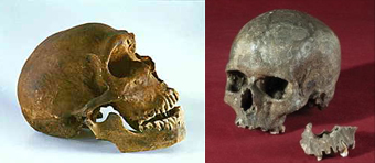 Neandertal, La Ferrassie e uomo moderno, Moravia, 31.000 anni fa