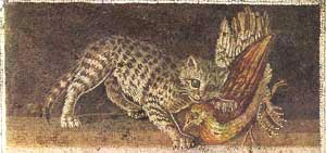 Pompei: gatto azzanna colomba 