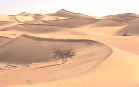 Niger - deserto