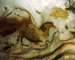 Grotte di Lascaux: cavallo