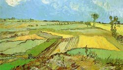 Van Gogh: campi di grano 