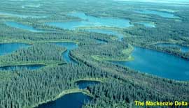 Laghi: Mackenzie Delta - Canada
