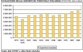 Evoluzione superficie forestale in Italia