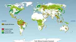 MA: mappa deforestazione 