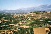 Creta - coltivazioni