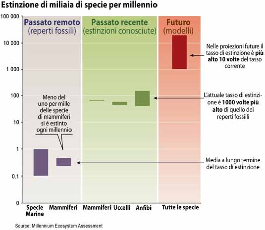 Tasso di estinzione delle specie