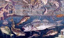 Pompei: pesci - mosaico I sec. 
