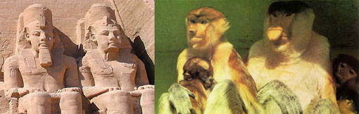 faraoni e scimmie