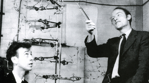 Natura, Einaudi Scuola – Watson e Crick con il modellino del DNA