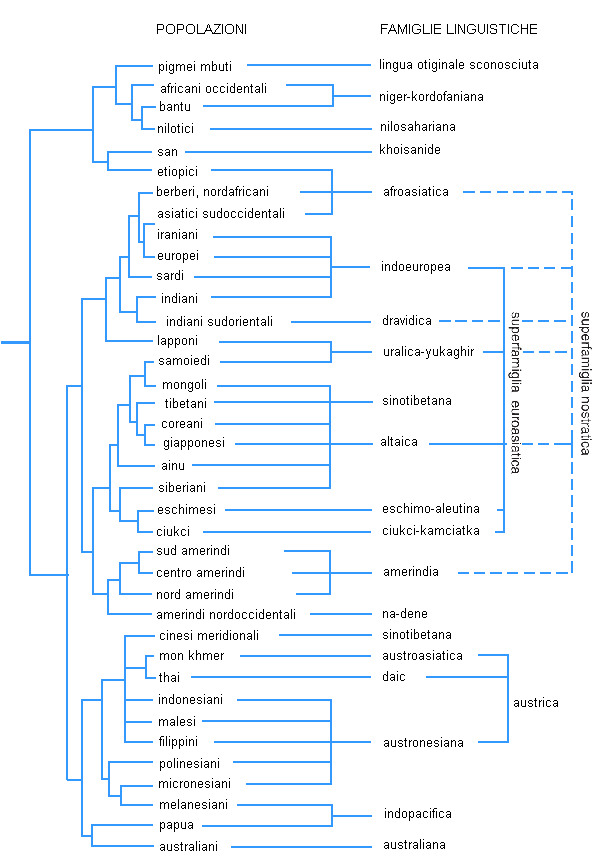 schema della correlazione tra albero genetico e albero linguistico
